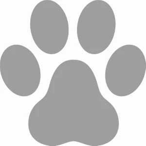 Sticker Atölyesi Gri Pati Sticker  - 17228-4 Gri 12 x 12 cm