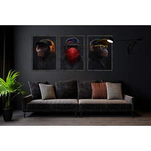 Çerçeve Home  Üçlü Çerçeveli Poster Seti  Üç Maymun