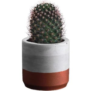 Ghogol Home Renk Pigmentli Beton Koyu Gri