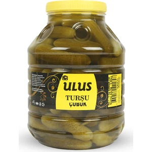 Ulus Turşu Kornişon Salatalık Turşusu 2 Numara 5 kg