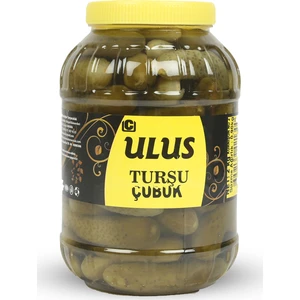 Ulus Turşu Kornişon Salatalık Turşusu 2 Numara 2 kg