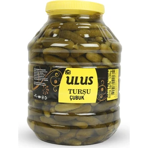 Ulus Turşu Kornişon Salatalık Turşusu 0 Numara 5 kg
