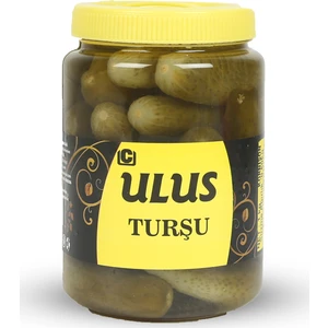 Ulus Turşu Çubuk Salatalık Turşusu 1 Numara 1 kg