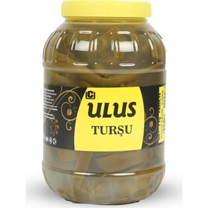 Ulus Turşu Fasülye Turşusu 2 kg