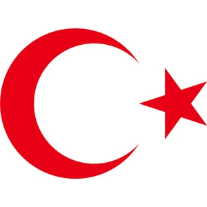Türk Bayrağı Sticker - Hilal ile Yıldız Araç Etiketi - Çıkartma 30X20 cm