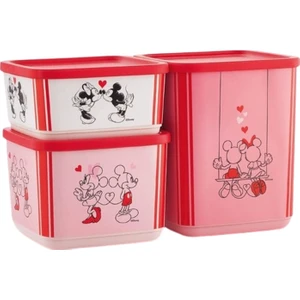 Minnie ve Mickey Temalı Kübik 3'lü Saklama Seti