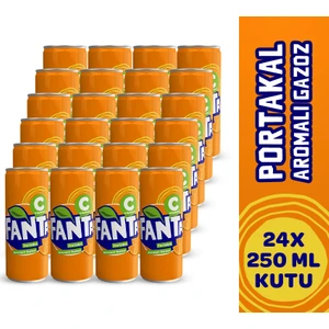 250 ml Kutu 24'lü Paket