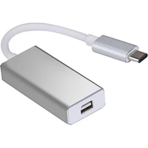 Type-C To Mini Display PortGörüntü Aktarım Kablosu