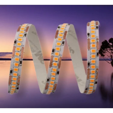 Cata Ct-4538 Gold İç Mekan 12 W 240 Çipli Yüksek Lumen Şerit Led Günışığı