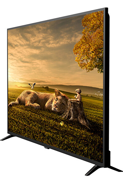 Axen AX55UAL402 55'' 139 Ekran Uydu Alıcılı 4K Ultra HD Android Smart LED TV