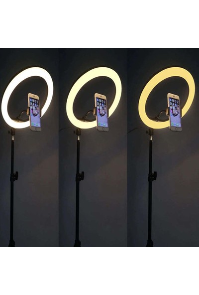 Wlue Youtuber LED Işıklı Tripod Selfie Kuaför Makyaj Işığı Sürekli Ring Light 10" 2,1 M