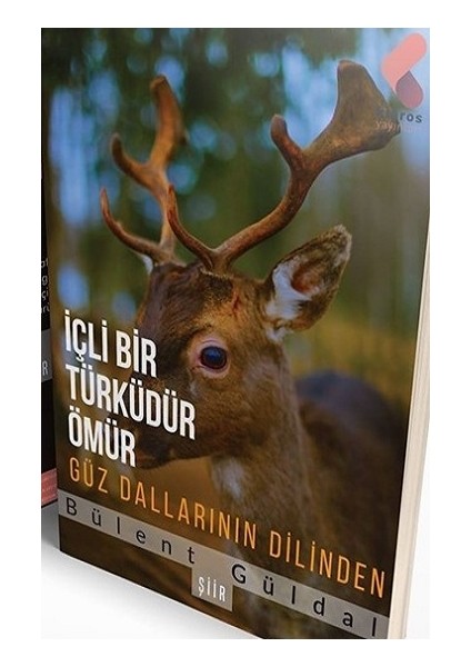 İçli Bir Türküdür Ömür Güz Dallarının Dilinden - Bülent Güldal