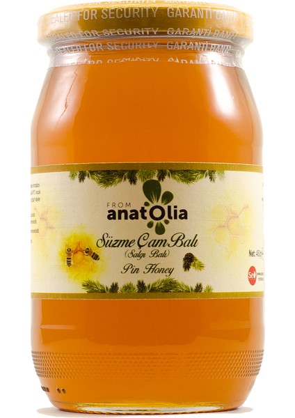 Anatolia From Anatolia Süzme Çam Balı 460 gr Cam Kavanoz