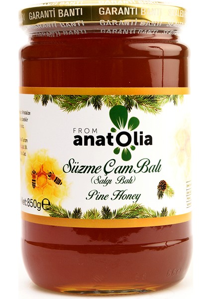Anatolia From Anatolia Süzme Çam Balı 850 gr Cam Kavanoz