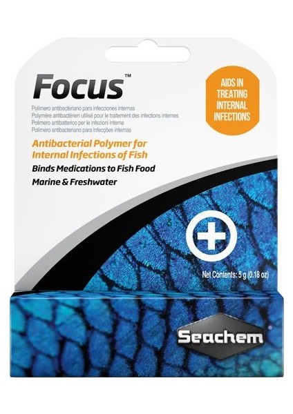 Focus 5 gr