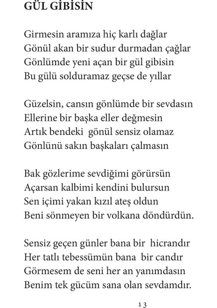 Gönlümdeki Sesler - Ziya Kayapınar fiyatları