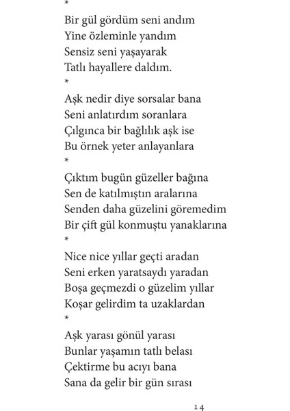 Sevdaların Dili - Ziya Kayapınar