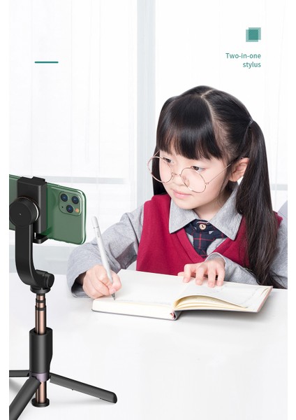 Dokunmatik Ekran Kalemi Pencil One 2in1 Passive Stylus - iOS & Android Uyumlu