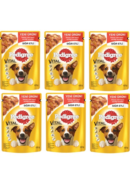 Pouch Yetişkin Sığır Etli Köpek Maması 100 gr X6 Adet