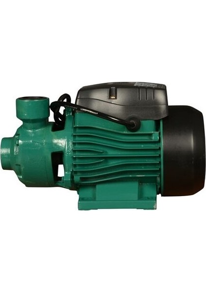 QB60 Bakır Sargılı Su Motoru