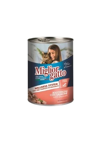 Gatto Somon Balıklı Kedi Konservesi 405 gr 24 Adet