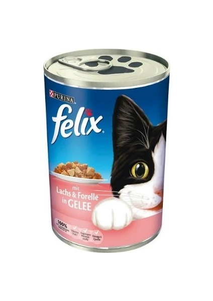 Somonlu Kedi Konserve 400 gr 12'li