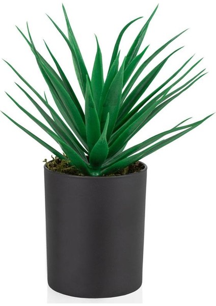 Siyah Cam Saksıda Yapay Yeşil Kaktüs Aloevera