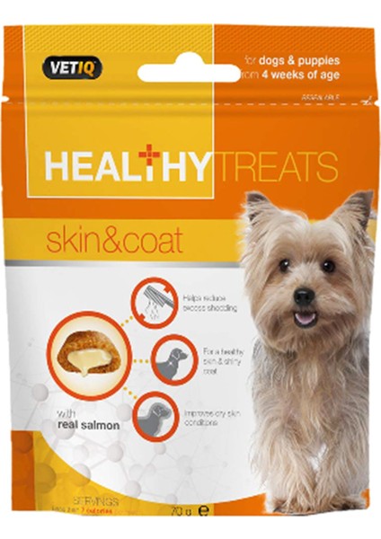 Vetiq Skin Coat Deri Tüy Bakımı Köpek Ödülü 70gr