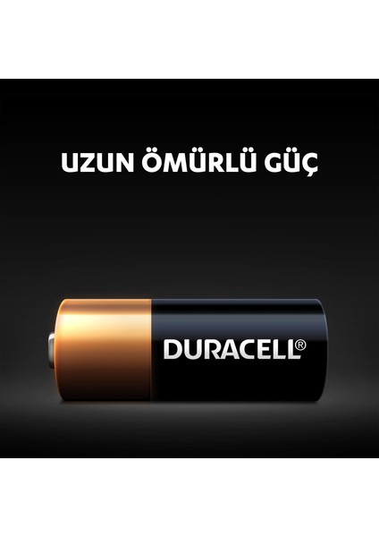 Özel Alkalin MN21 Pil 12V
