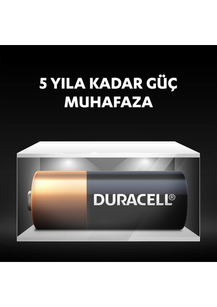 Özel Alkalin MN21 Pil 12V