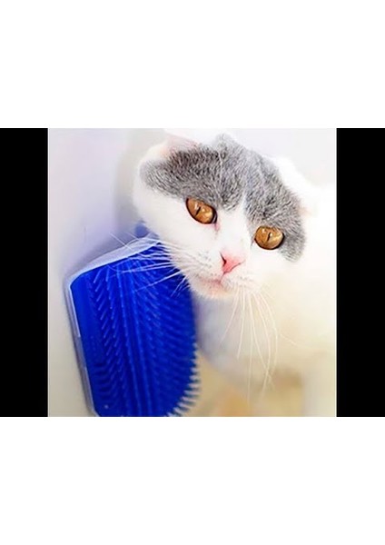 Kedi Kaşıma Masaj Fırçası Cat It modelleri
