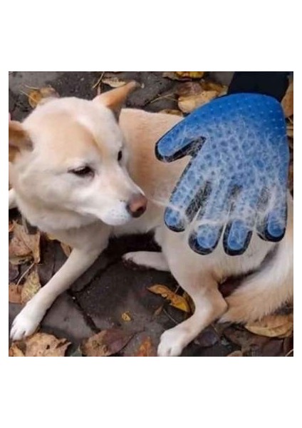 Kedi ve Köpek Için Tüy Toplama Eldiveni