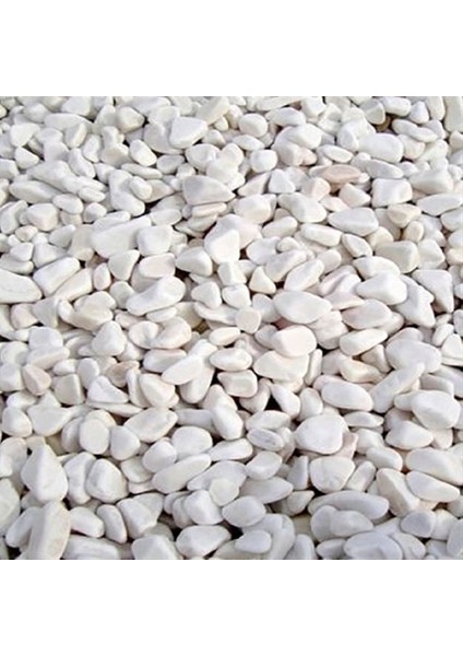 Dolomite Doğal Bahçe Podima Dere Taşı Beyaz 2,5 - 4 cm 10 kg