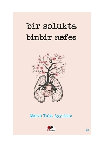 Bir Solukta Binbir Nefes  - Merve Tuba Ayyıldız