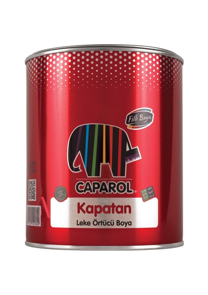 Filli Boya Caparol Kapatan Leke Örtücü Boya 0,75Lt