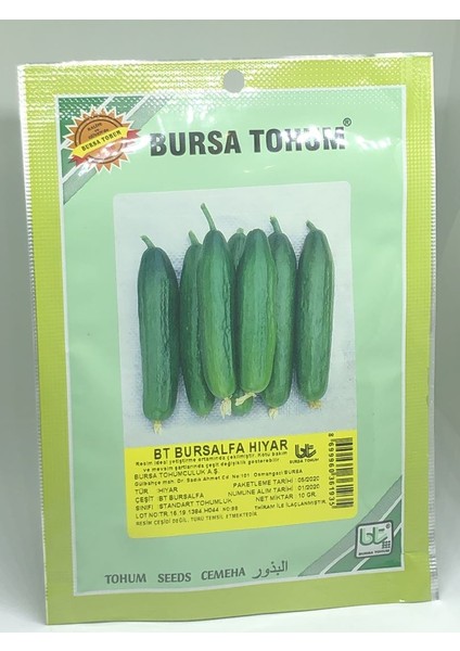 Bursalpha Hıyar Tohumu