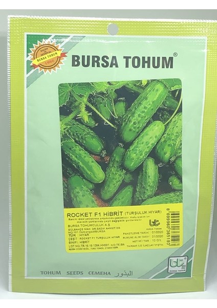 Bursa Tohum Rocket F1 Hibrit Turşuluk Hıyar Kornişon 10 Gr