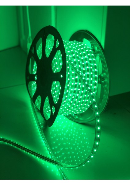 220V İle Çalışan Dış Mekan Uyumlu Hortum Şerit Led 2 m