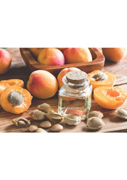 Vital Natürel Kayısı Çekirdeği Yağı 500 ml