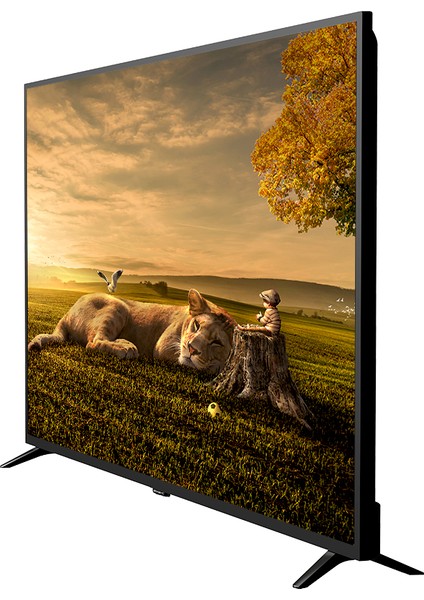 AX55UAL402 55'' 139 Ekran Uydu Alıcılı 4K Ultra HD Android Smart LED TV