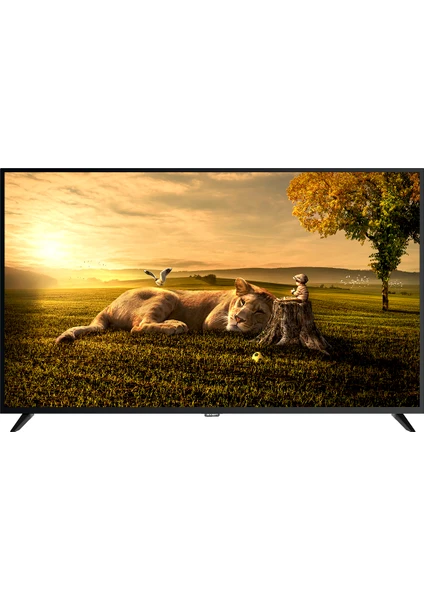 AX55UAL402 55'' 139 Ekran Uydu Alıcılı 4K Ultra HD Android Smart LED TV