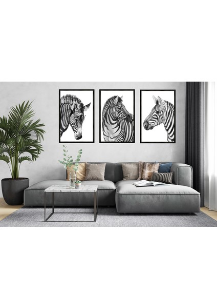 Üçlü Çerçeveli Poster Seti Zebras