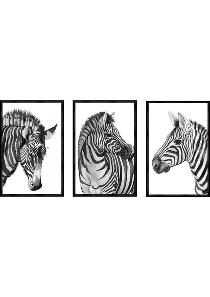 Üçlü Çerçeveli Poster Seti Zebras fiyatları