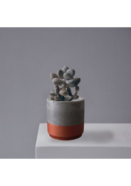 Renk Pigmentli Beton Koyu Gri modelleri