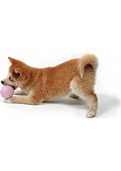 Tumble Toy Balu Kauçuk Köpek Oyuncağı Sarı fiyatları