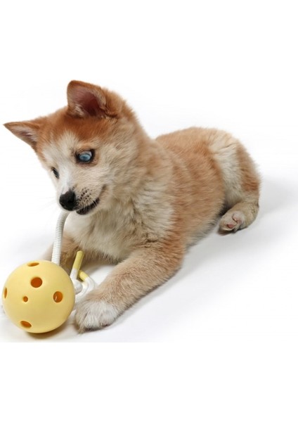 Petit Chew Toy Milo Köpek Oyuncağı Mavi fiyatları