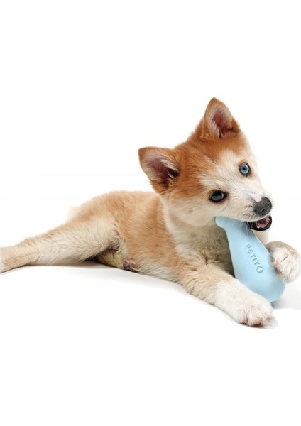 Petit Treat Toy Chico Köpek Ödül Oyuncağı Sarı fiyatları