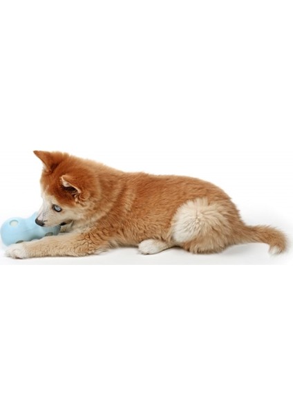 Water Chew Dondurulabilir Köpek Oyuncağı Pembe