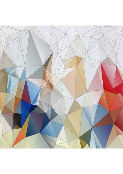 Dekoratif Özel Tasarım Modern Yıkanabilir Kaymaz Taban Halı 140 x 220 cm fiyatları