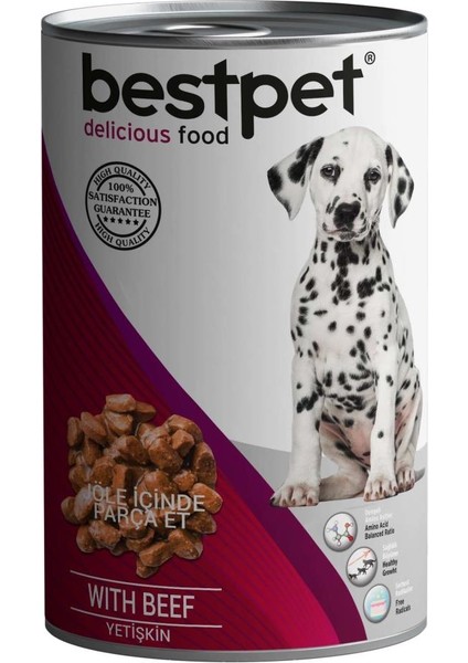 Beef Dana Etli Yetişkin Köpek Konservesi 10 x 415 gr